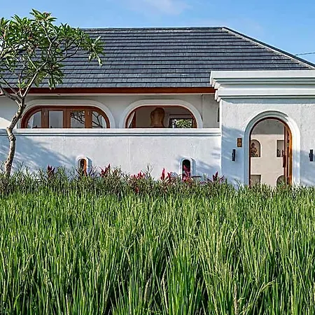 The Adya Hidden Villa Ubud
