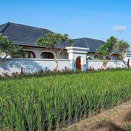 The Adya Hidden Villa Ubud