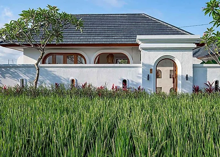 The Adya Hidden Ubud 苏卡瓦提
