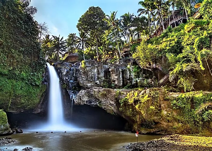 The Adya Hidden Ubud * 苏卡瓦提